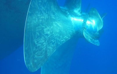 Propeller after polishing